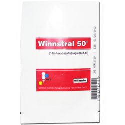 Winstral 350 Winstral 350